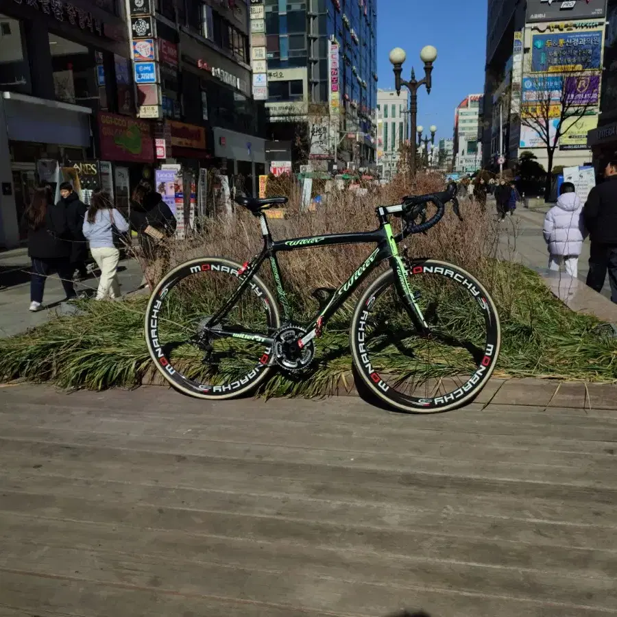 기함급 윌리어 로드자전거 울테그라 풀카본 로드자전거 대차 가능