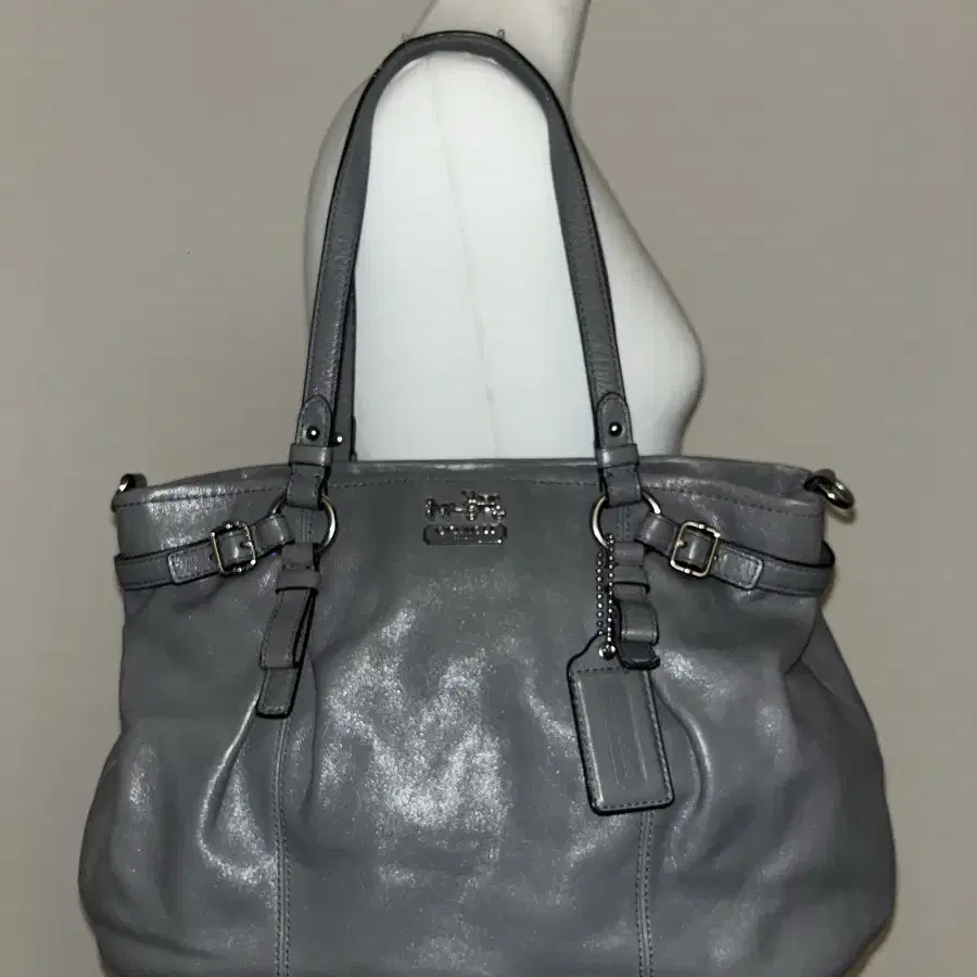 Coach Grey Basic Bag