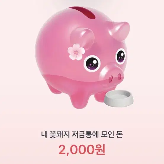 꽃돼지 밥드리는거 기회 천원에 팔아요