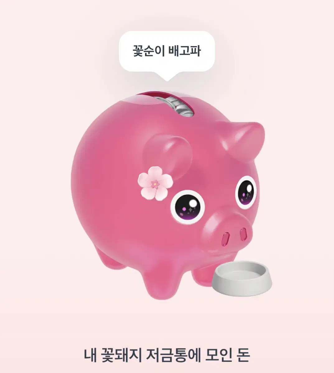 토스 꽃돼지 밥 먹여주세요