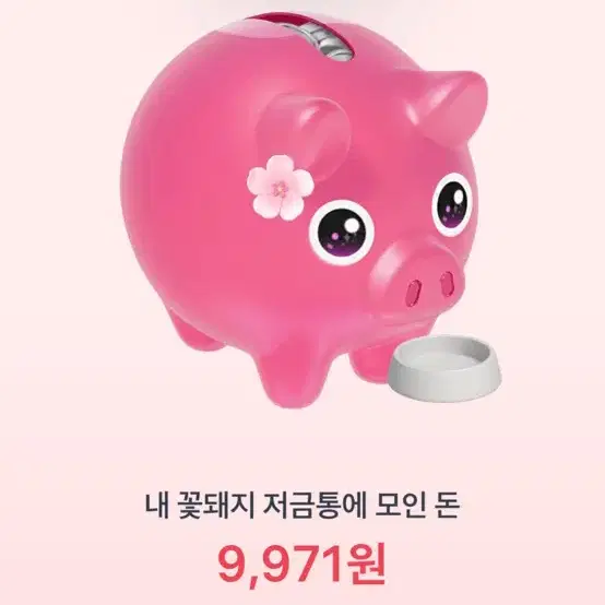 꽃돼지 저금통