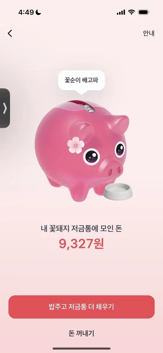 토스 꽃돼지 서로 해주기