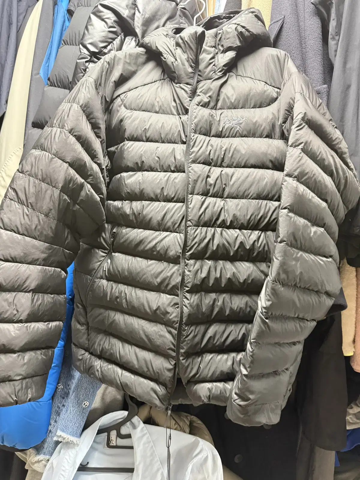 xl)  아크테릭스 세륨 블랙 번개케어