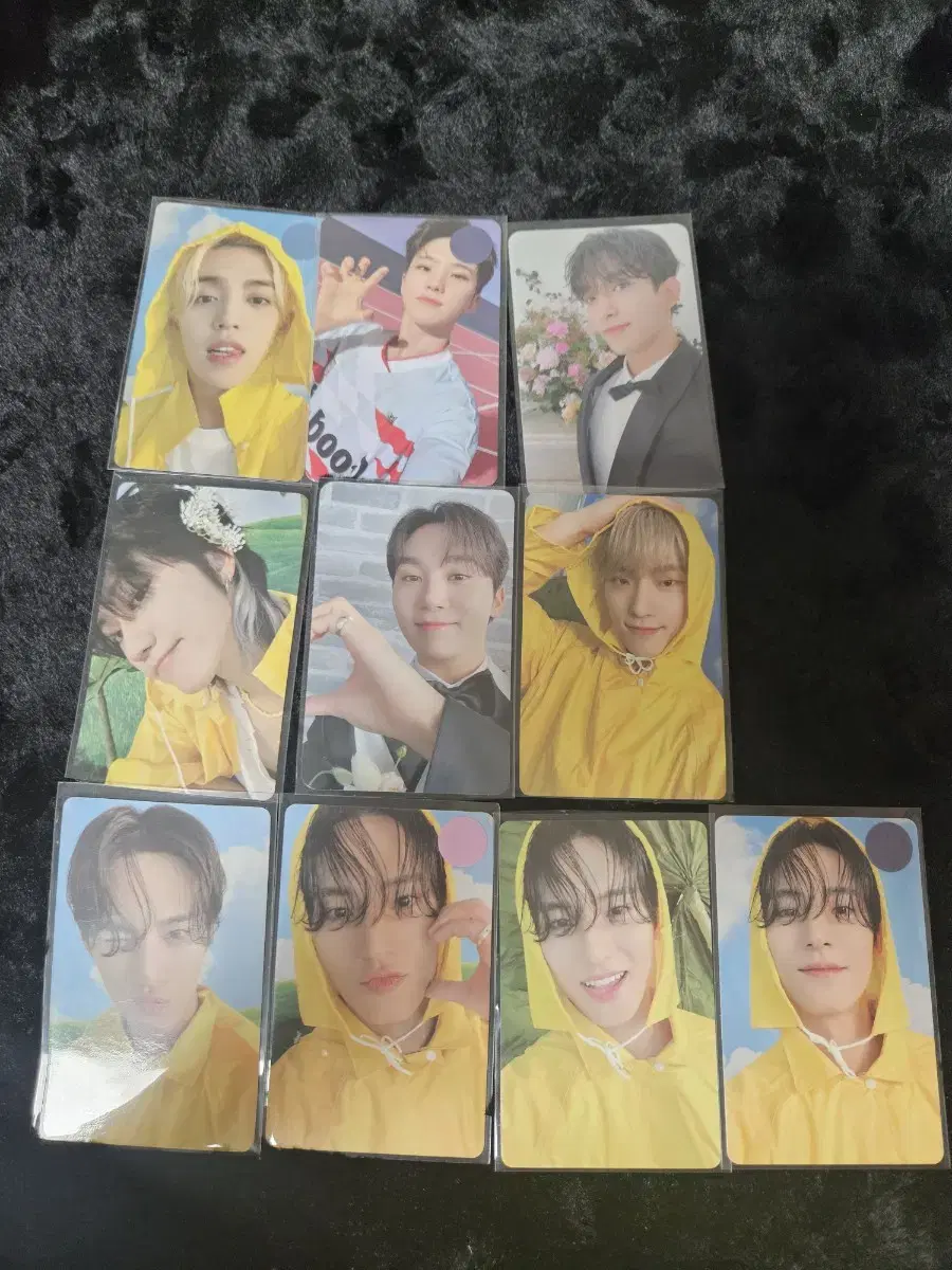 세븐틴, 서수진, 아이브, 크래비티 포카