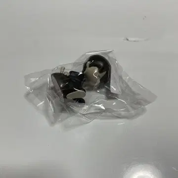 미세스 와카이 코우토 팝업 흑백