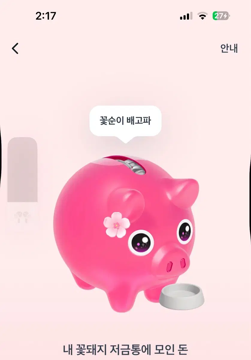 꽃돼지 팔아요 기회2번남음