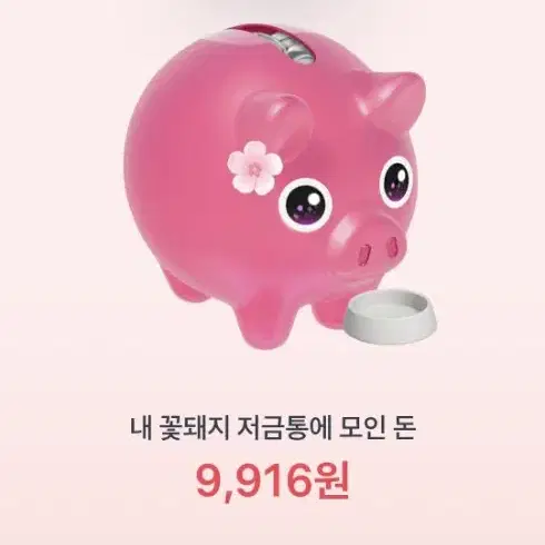 꽃돼지 해주시면 1000원 드림니다!!