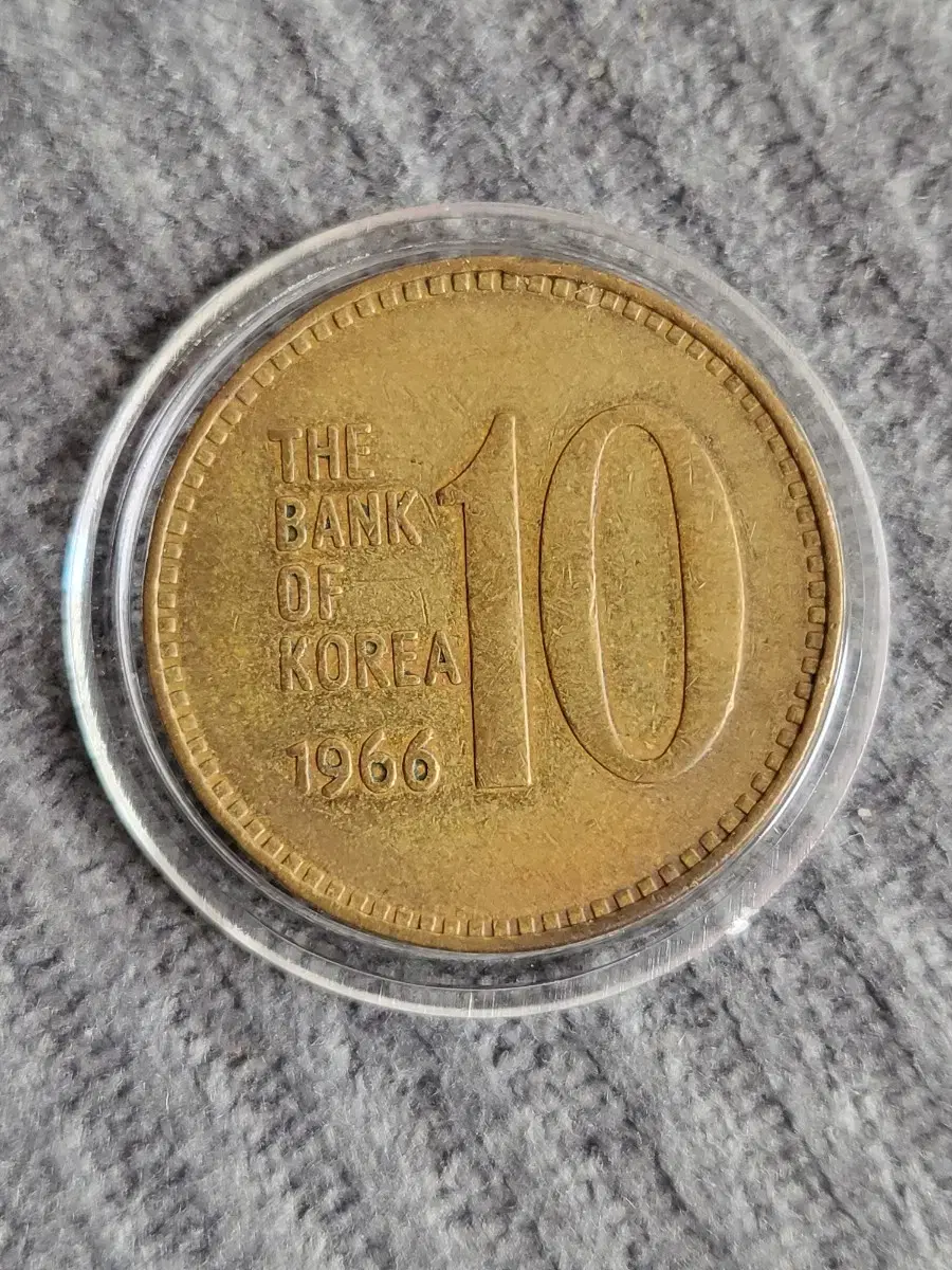 1966년 십주 10주 100개