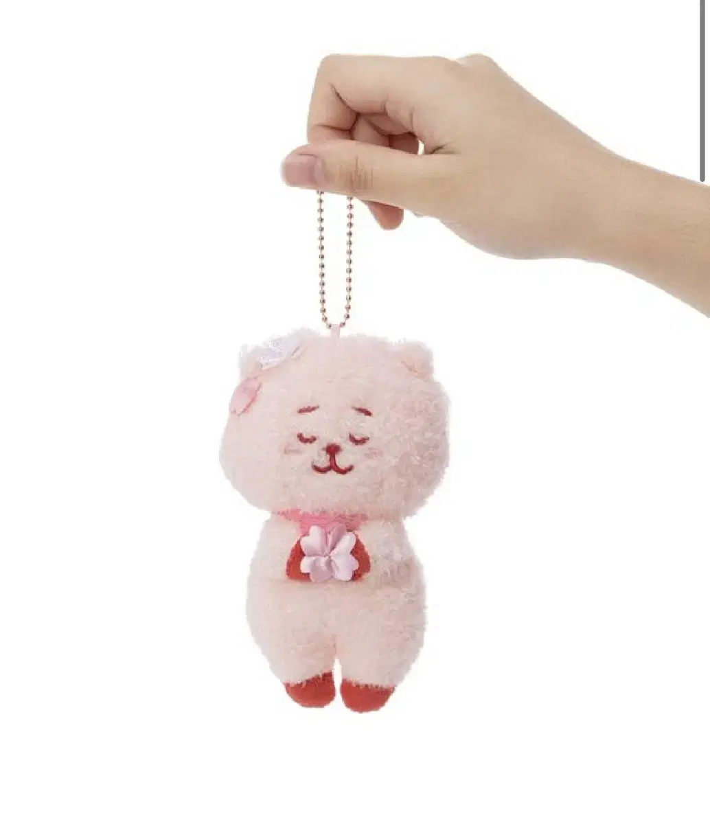 Bt21 사쿠라 비티 마스코트 알제이 RJ