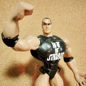 WWE/FLEX'EMS "THE ROCK"