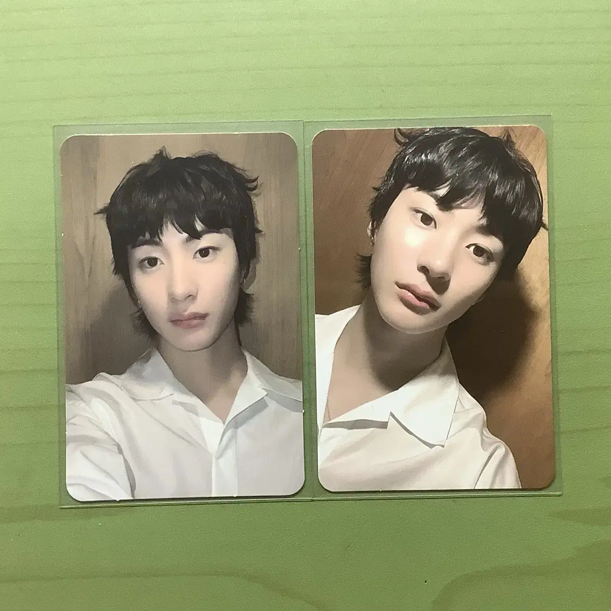 라이즈 앤톤 포카 시그 트레카 원빈 성찬 은석 쇼타로 소희 미공포 인형