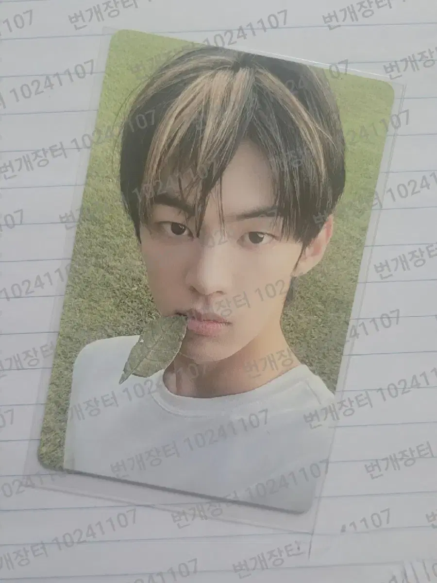 투어스 도훈 앨범 포카