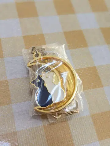 세일러문 루나 아르테미스 체인 참