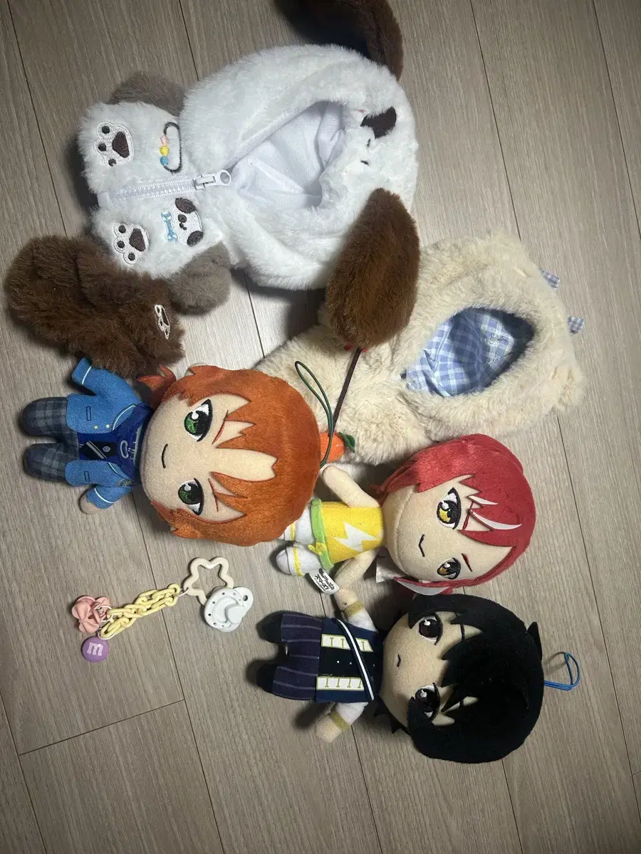 앙스타 누이 리츠 레오 나츠메