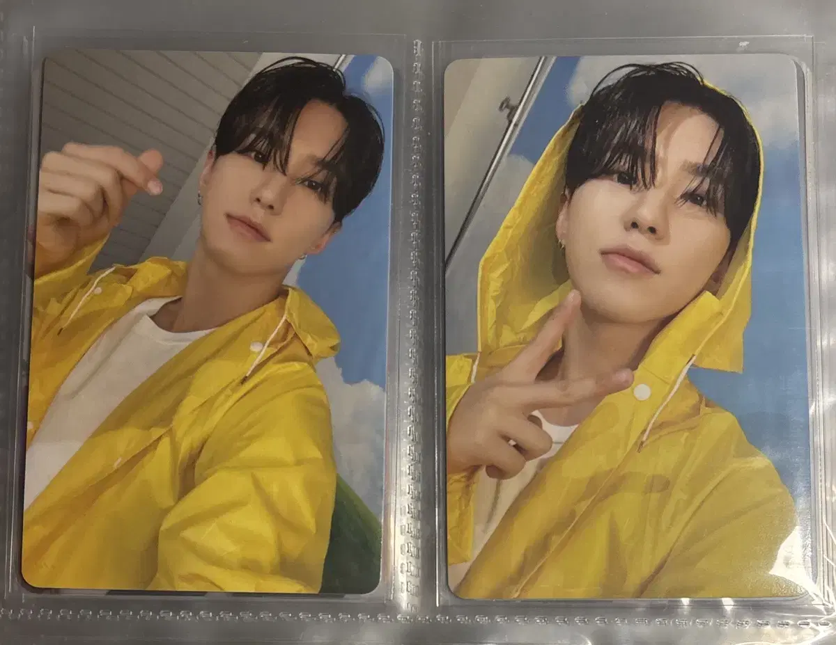 세븐틴 헤븐 캐럿반 호시 포카 일괄