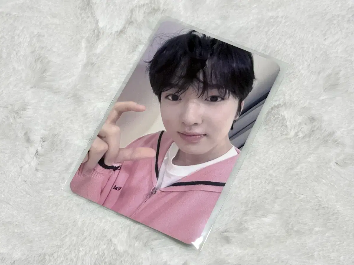 엔시티 위시 사쿠야 올엠디 포카