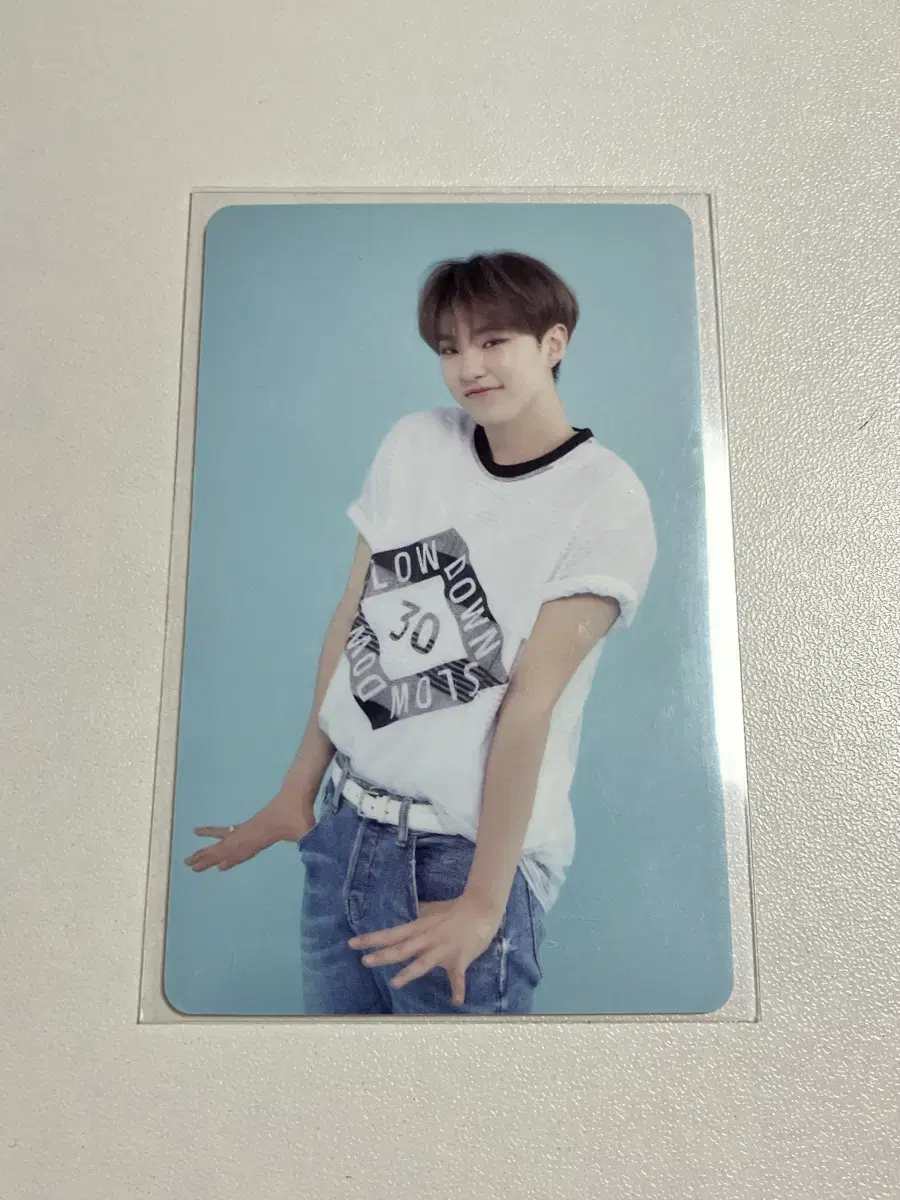 세븐틴 팬클럽 공식 캐럿 3기 호시 포카