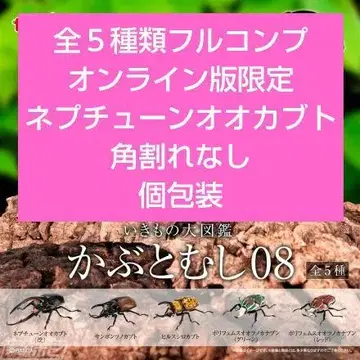 생물대도감 딱정벌레 08 온라인판 한정판 전 5종류 풀 컴프