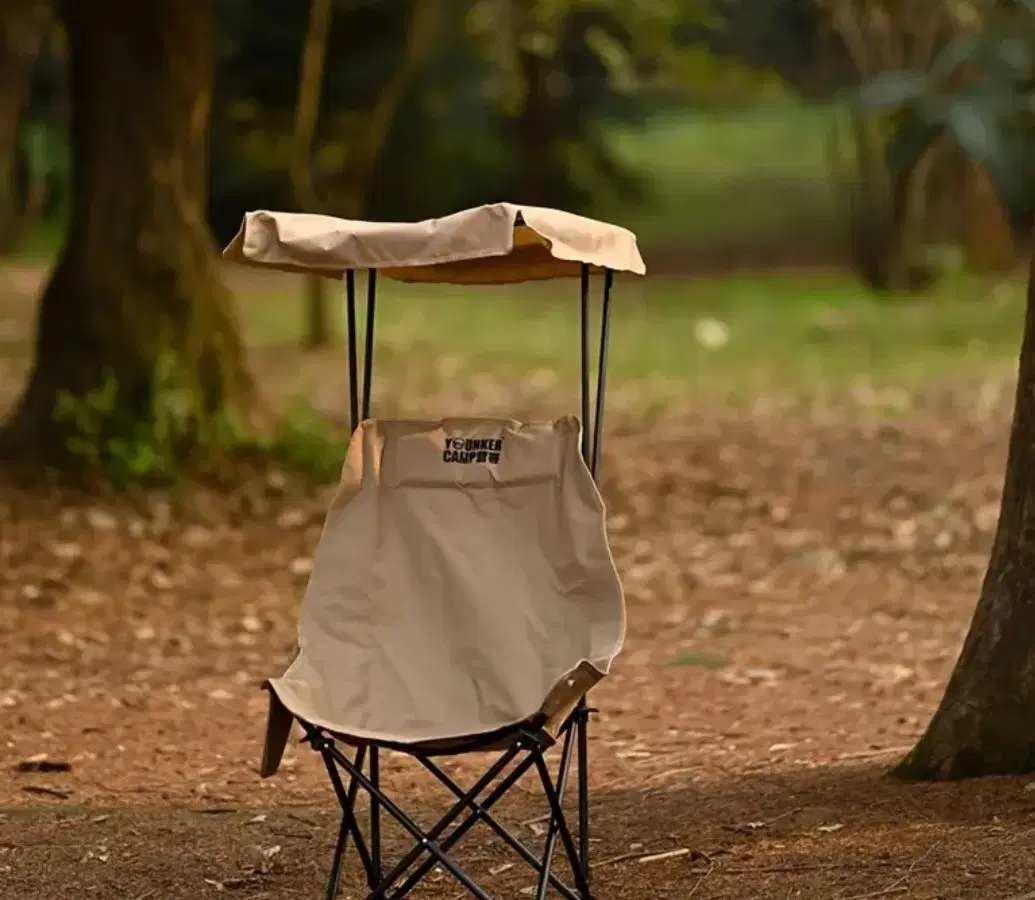 Canopy tent chair