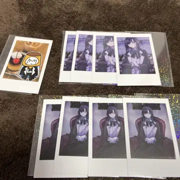 Adobe 카메라 패널라 폴라로이드풍 트레이딩 카드