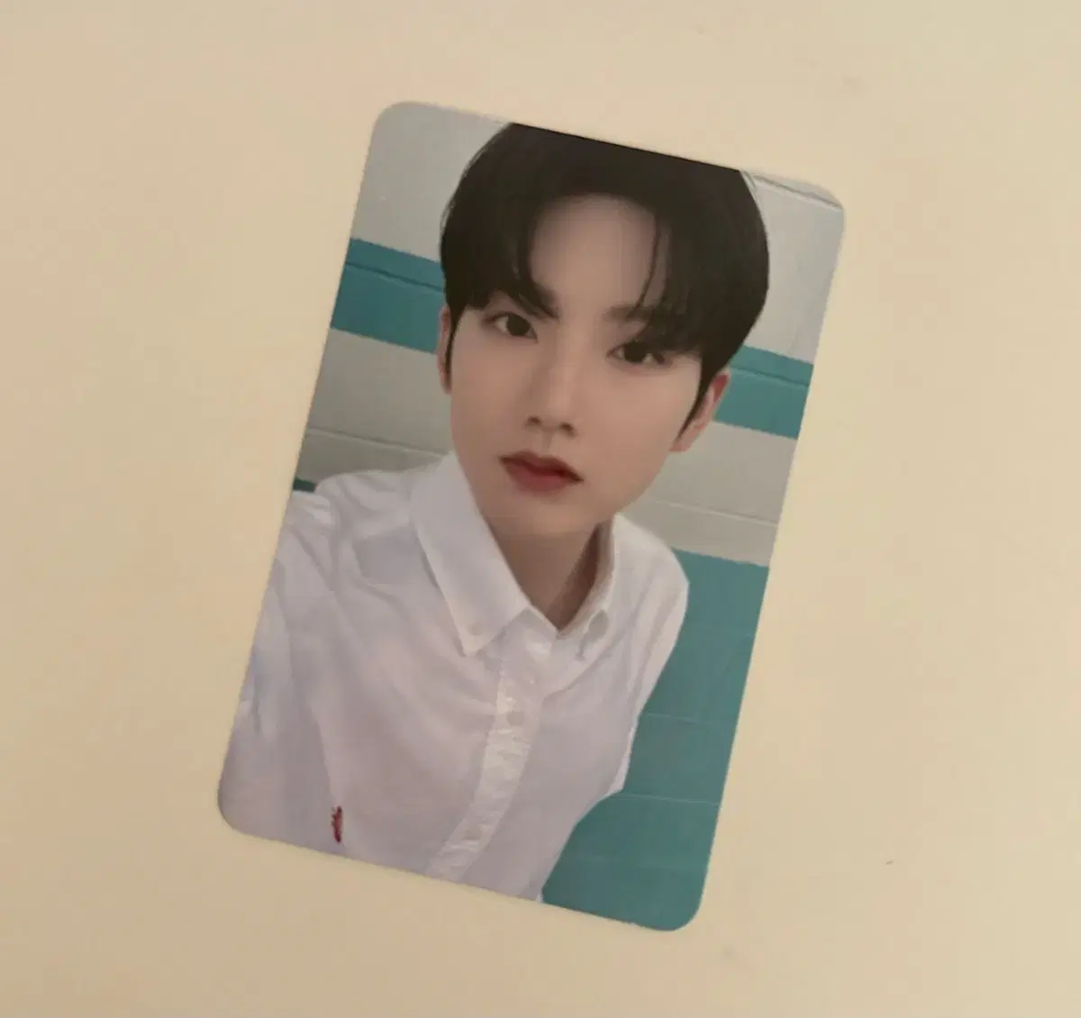 Treasure junkyu Reboot pop up ld photocard WTS