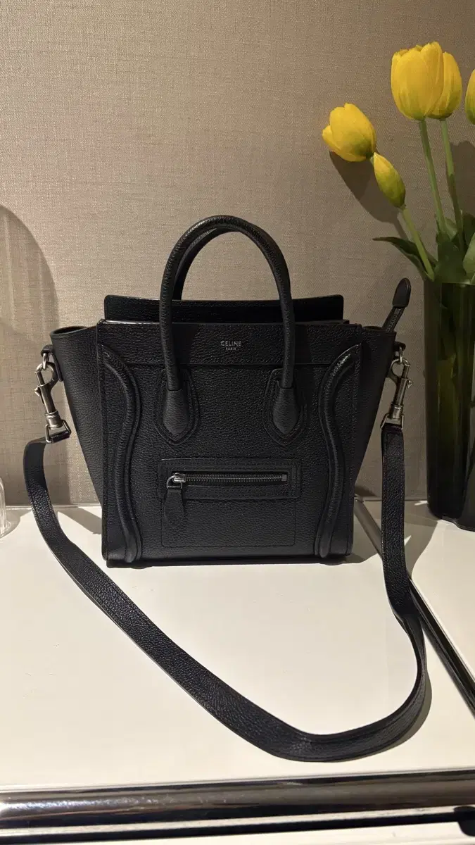 Seline Luggage Bag Nano