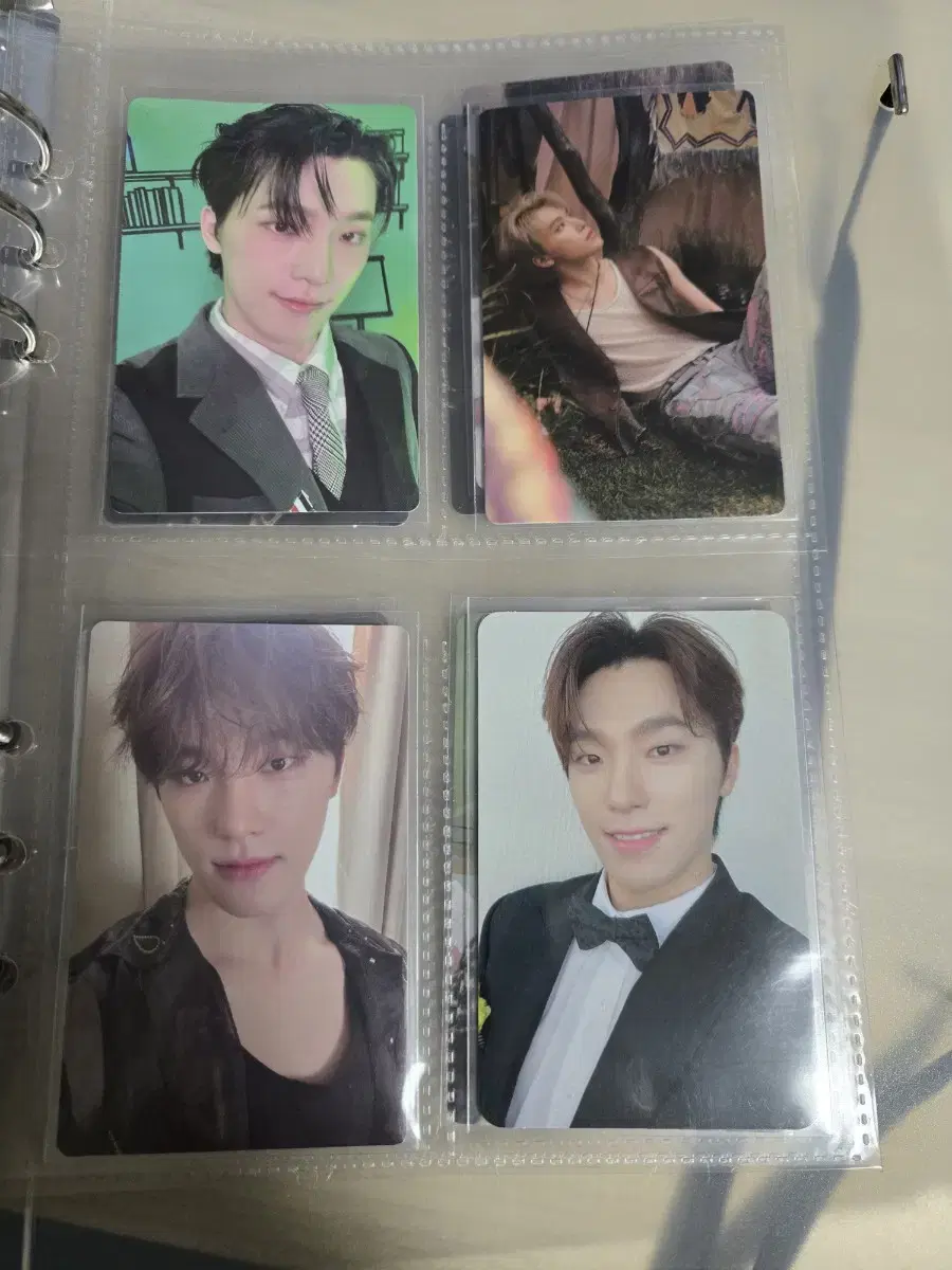 세븐틴 디노 포카