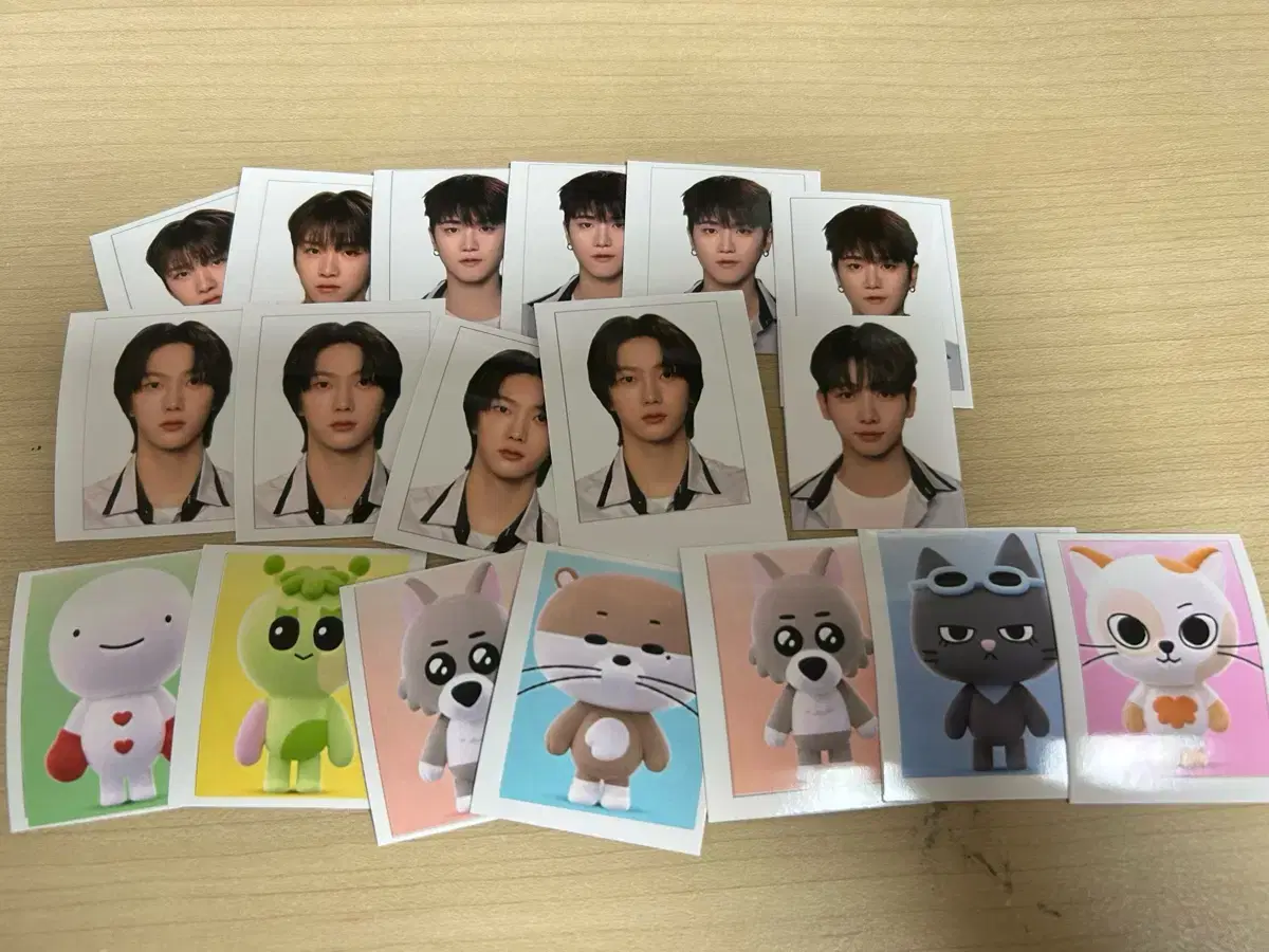보넥도 쁘넥도 보이넥스트도어 증사 일괄 18장