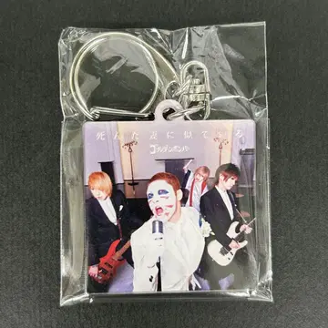 의상전 키링 죽은 아내를 닮은 타츠미 사케 켄지/골든 폭격기