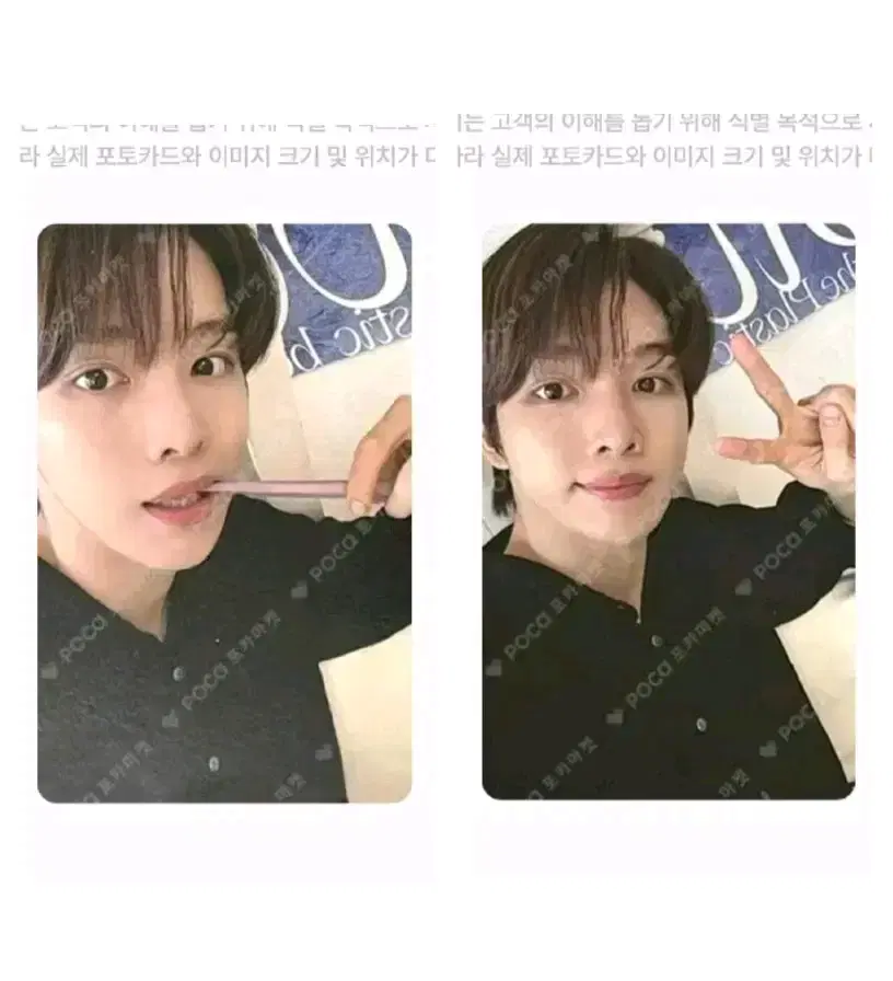 제시) 라이즈 디아이콘 a버전 성찬 포카 일괄 판매