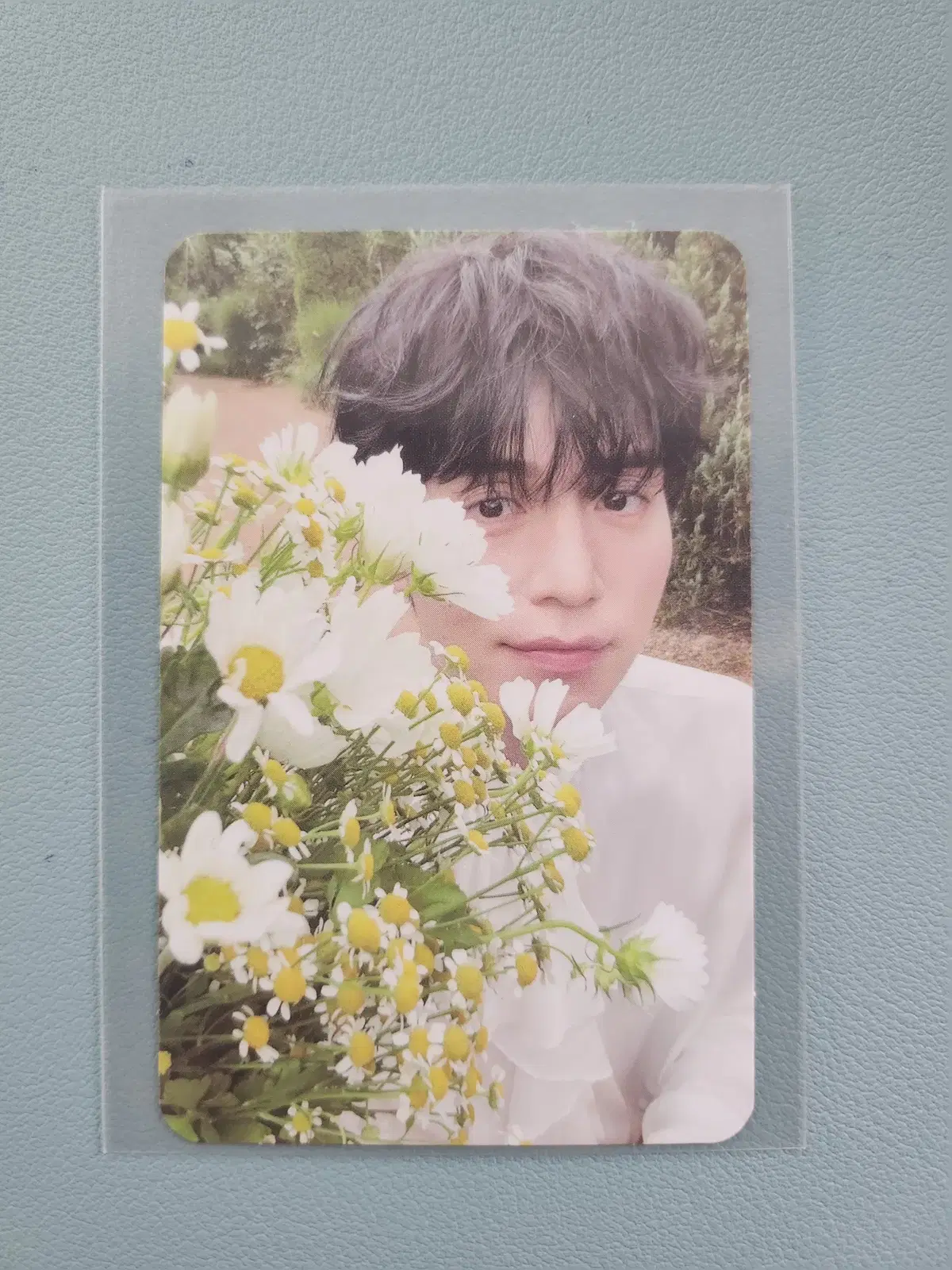 Lee Dongwook Poca