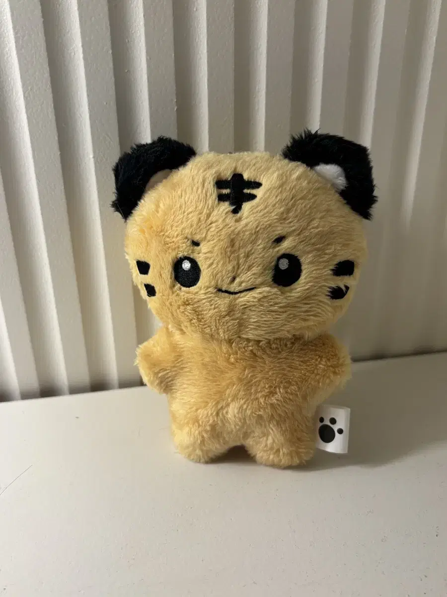 제로베이스원 박건욱 인형