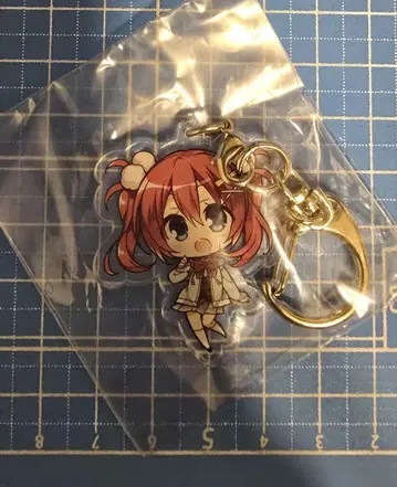 RIDDLE JOKER -리들 조커- 아크릴 키링 미부 치사키