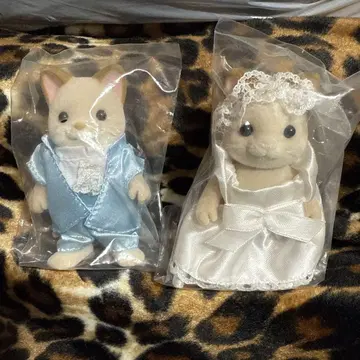 실바니안 패밀리 크림 고양이