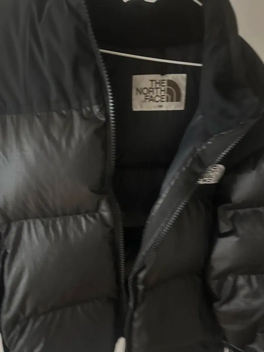 North Face Novelty Nooksie UGL L for sale