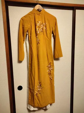 아오자이 예쁜 드레스 결혼식, 코스프레에도