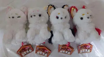 다이토 한정판 조콘과 구미의 여우 컴팩트 JB2 4종 세트