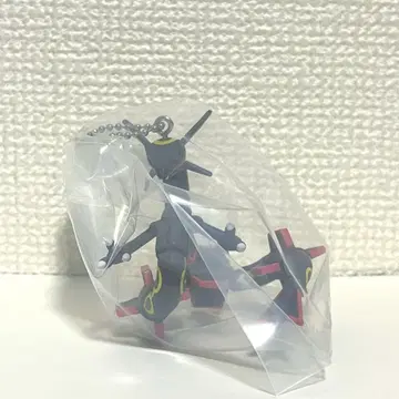 포켓몬 가샤트 콜렉트 02 블랙 레쿠자