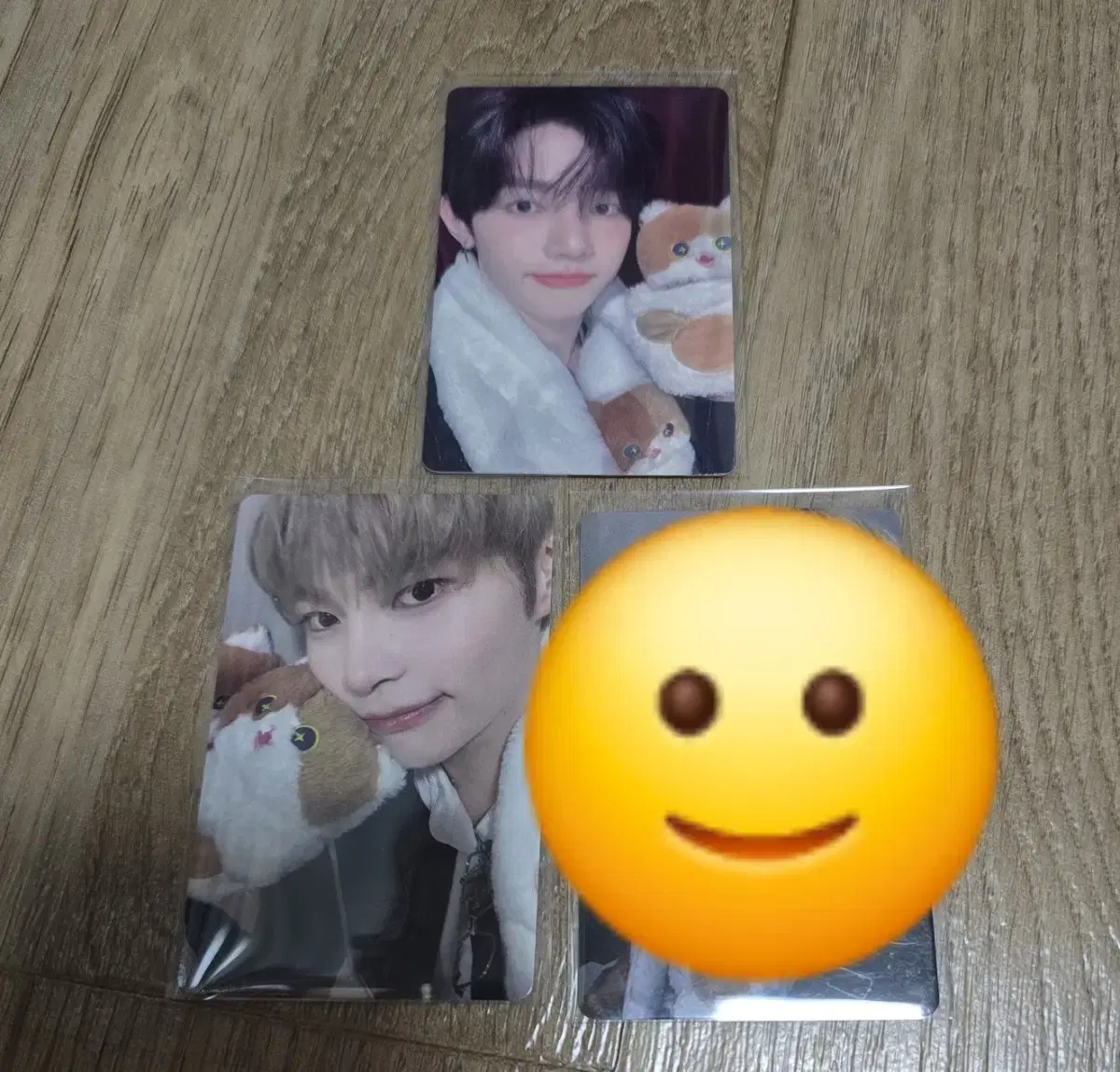 제베원 이즈위 성한빈 장하오 포카