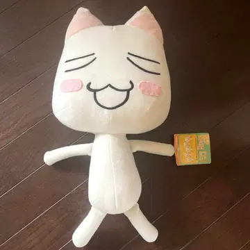 가격 인하 초거대 봉제 인형 토로 약 40cm 도코데모 잇쇼