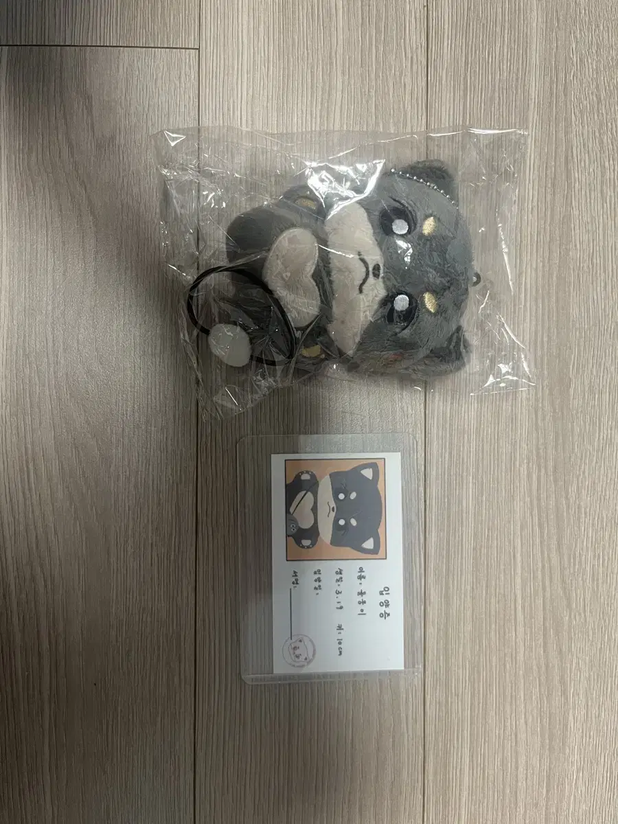 라이즈 송은석 인형