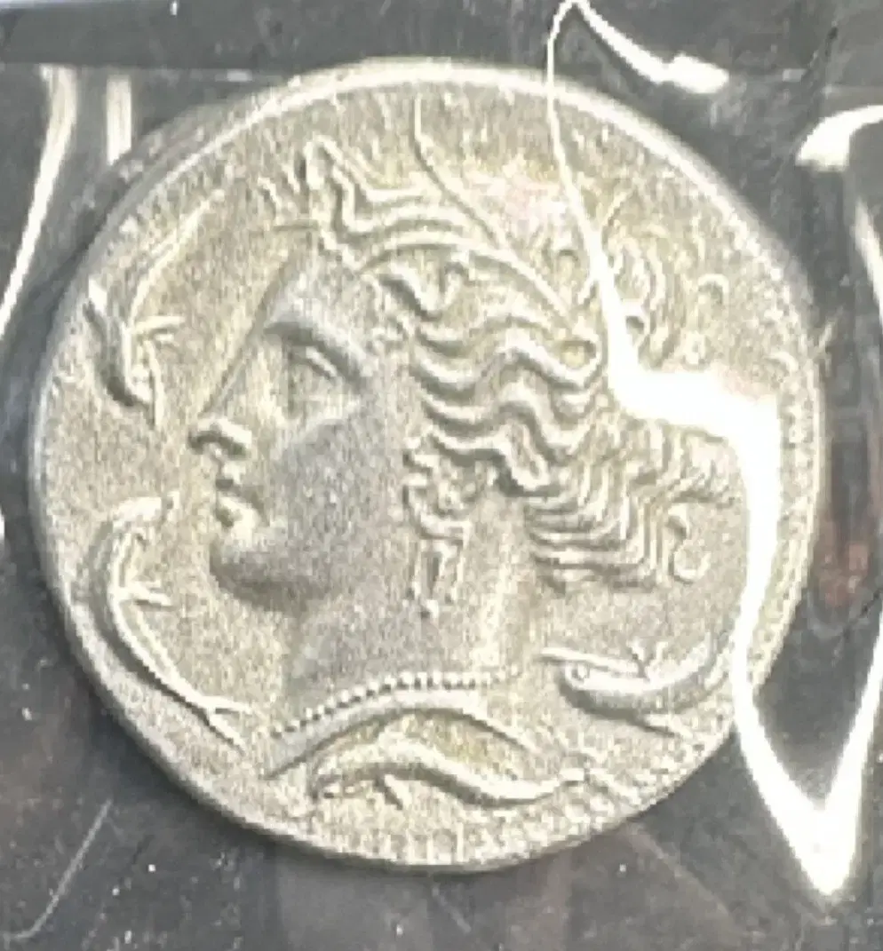 스타크래프트,starcraft,저그링,저그,반지,해골반지,은반지 | 브랜드 중고거래 플랫폼, 번개장터