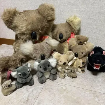 코알라 봉제 인형 세트