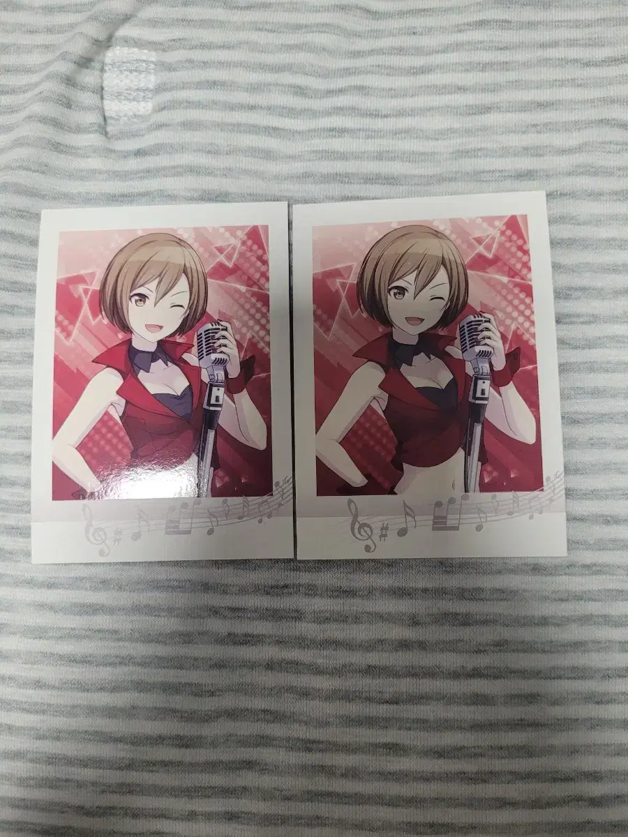 프세카 프로세카 메이코 MEIKO 파샤 판매