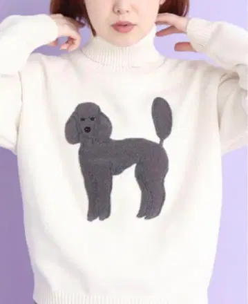 디디지즈 푸들 니트 터틀 풀오버