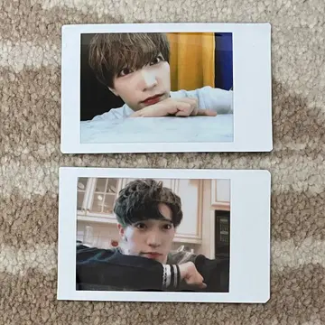 팬더 드래곤 파라곤 폴라로이드 카메라 세트 42