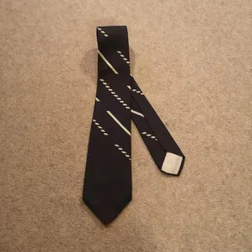 도미닉 프랑스 도미닉 프랑스 넥타이