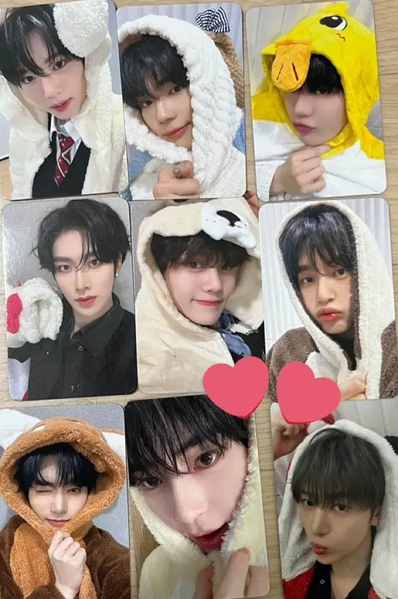 (무료배송) 제로베이스원 미공포 동물잠옷