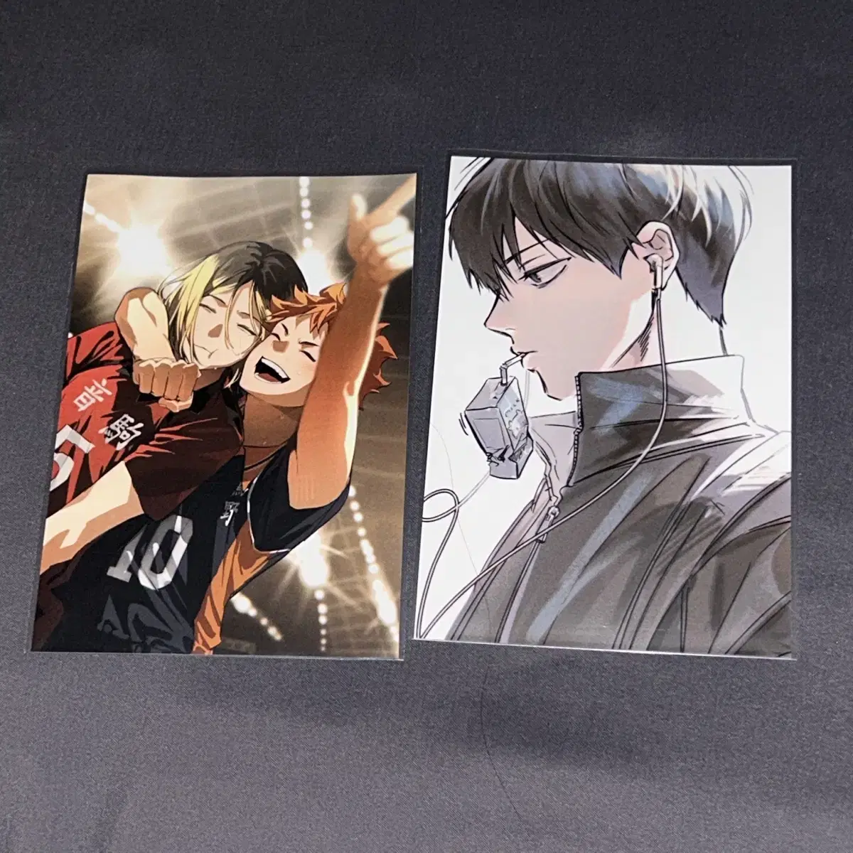 Haikyuu Fugu-sama Fukuoka Kageyama pre-order benefit Volume 33.5 Memorial Book Group Photo Nekoma