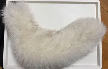 꼬리